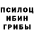 Псилоцибиновые грибы Magic Shrooms Patryk K