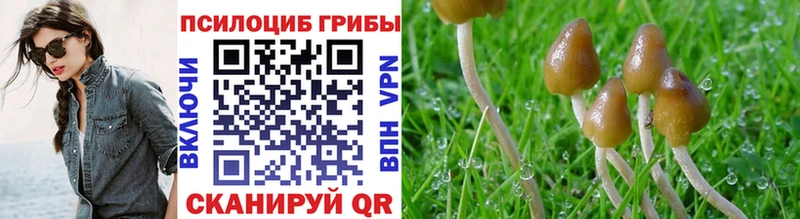 даркнет сайт  MEGA маркетплейс  Псилоцибиновые грибы мухоморы  Мариинский Посад 